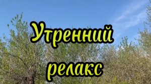 🎼Птичий концерт 🐦Утренний релакс