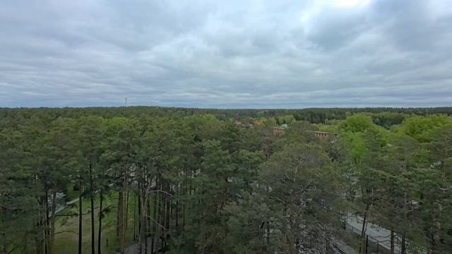 ФЛОРА И ФАУНА. смотреть онлайн