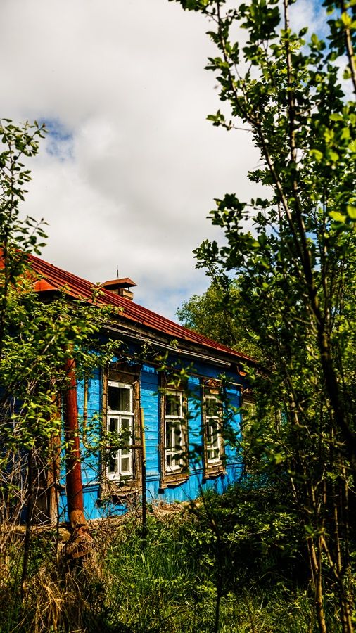Участок 39,7 соток д. Головлево, Орловская область.