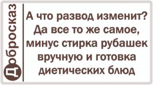 А что развод изменит? Да все то же самое, минус стирка рубашек вручную и готовка диетических блюд
