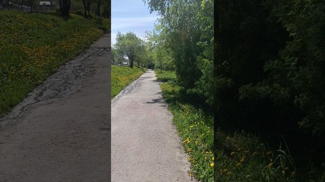 жара в Миассе