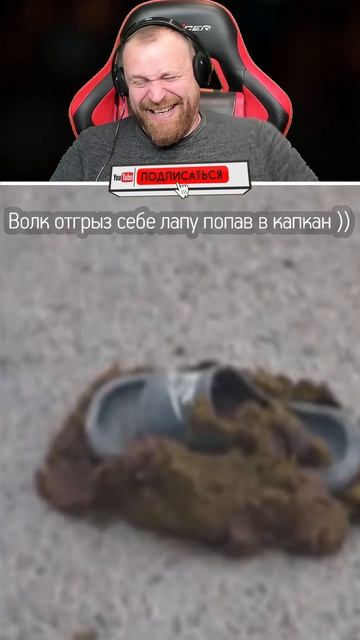 Петренто капкан смотреть онлайн