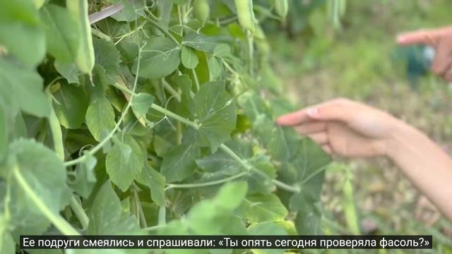 Жизнь нами. Спокойная перезагрузка на каникулах |