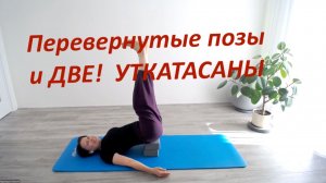 Асаны Раджадхираджа йоги | Rajadhiraja Yoga | Занятие 77