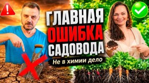 УРОЖАЙ НЕ ПРОЩАЕТ ЭТУ ОШИБКУ
