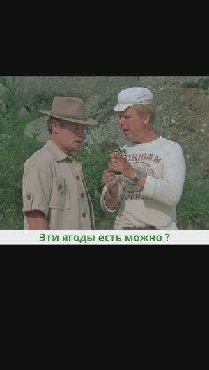 Эти ягоды есть можно ?