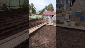 Вспахали грядки под посадку картошки 🥔