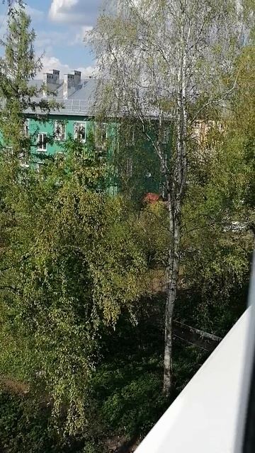 Прям летний вайб🍀
