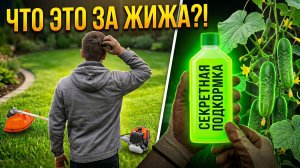 После ЭТОЙ подкормки всё растет как на дрожжах! / Жесткий покос травы