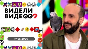Видели видео? Выпуск от 17.05.2026