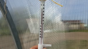 17.05.26 Жуткая жара! Дела огородные.