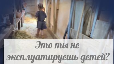 И это ролик про вас? Большей частью опять про коров