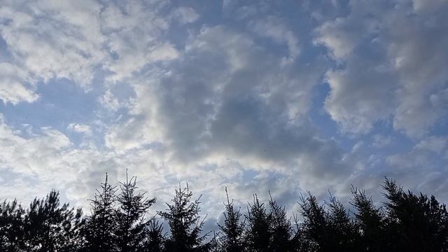 Облака, белогривые лошадки....