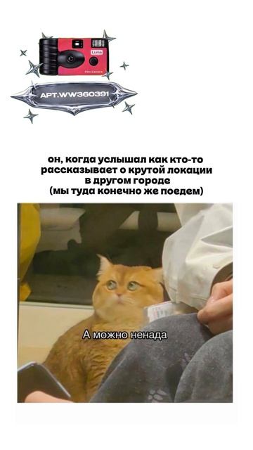 Плёночный фотоаппарат на 36 кадров (Артикул WB: #WW360391)💕