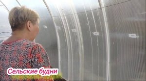 Навоза нет, огурцы садим
 другим способом.