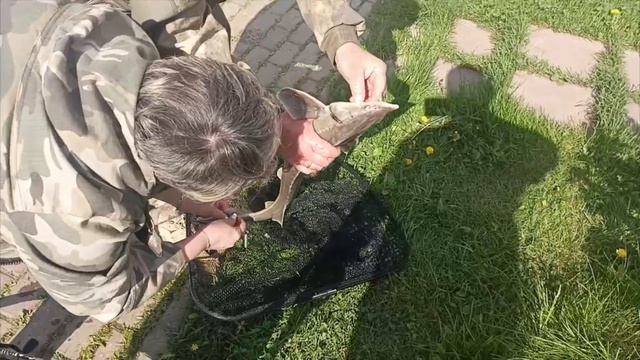 VID_20260517_090637_842