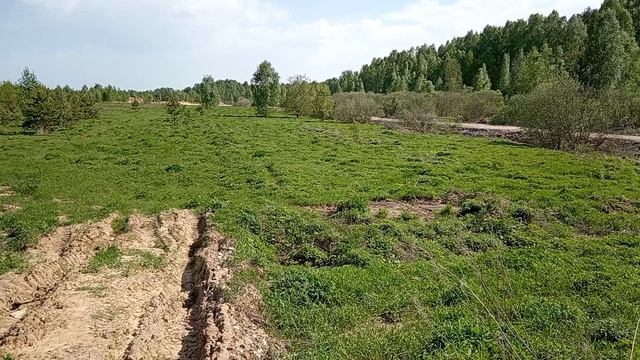 17-05-2026 смотреть онлайн