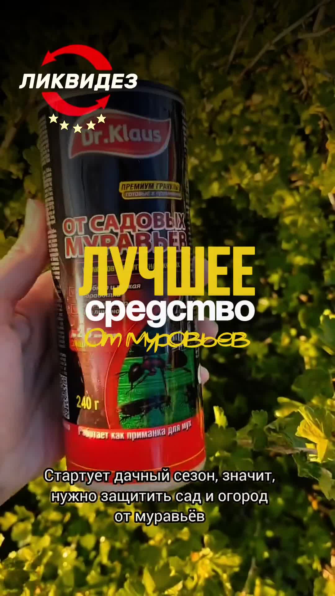 IMG_3672.MOV
