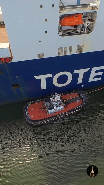 ⚓ Мощный буксир ведёт огромный контейнеровоз к доку в Такоме 🚢