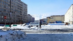 2026.05.17. Норильск. Голуби купаются в воде и почки на ивах. Итоги декады в описании.