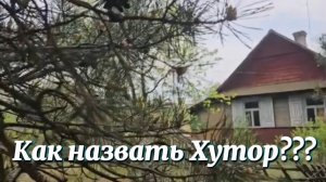 Старый ХУТОР обрёл новых хозяев! Первые КОММУНИКАЦИИ в ЛЕСНОМ ДОМЕ 🏡 Как назвать Хутор???