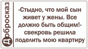 -Стыдно, что мой сын живет у жены. Все должно быть общим!- свекровь решила поделить мою квартиру