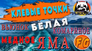 ТУТ КЛЮЕТ. Вьюнок. Белая. Медное. Яма. Комариное. Russian Fishing 4