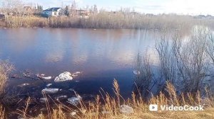 17-05-2026 обстановка на протоке Лены в пригороде Якутска. Лёд стоит,затор. Вода поднимается.