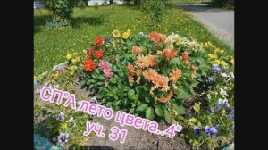 Вступление. СП» А лето цвета..4 «  уч.31