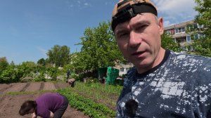 ПОСАДИЛИ РАССАДУ! Срочные дела, которые нельзя откладывать ОГУРЦЫ 🥒 ПЕРЕЦ 🌶️)))