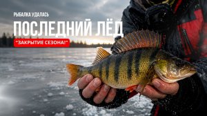 ПОСЛЕДНИЙ ЛЁД! ЗАКРЫВАЕМ СЕЗОН на таёжном озере | РЫБАЛКА УДАЛАСЬ