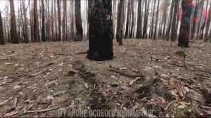 Штурм опорника ВСУ от первого лица