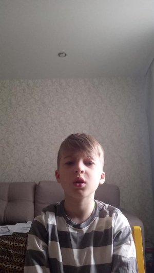 каких полов анимотроники?