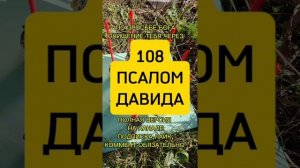 БОЖЕСТВЕННОЕ ТВОЁ ОЧИЩЕНИЕ