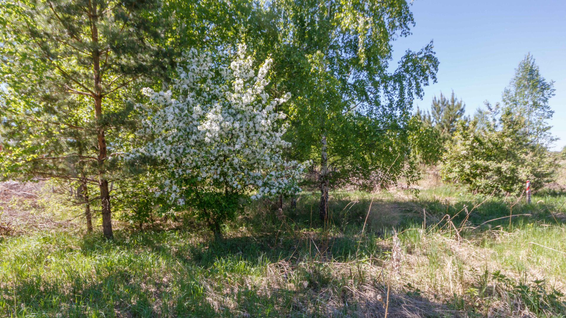 Project 433 смотреть онлайн