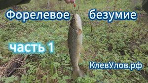 Форелевое безумие, часть 1. Рыбалка с берега. Ленинградская область.