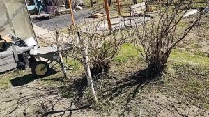 Вот она была и нету.