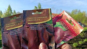 Спать нам некогда 🤭 С 7 утра 👍 на огороде.Посадили свеклу и лук .