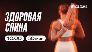 ЗДОРОВАЯ СПИНА с Дарьей Уткиной | 17 мая 2026 Онлайн-тренировки World Class