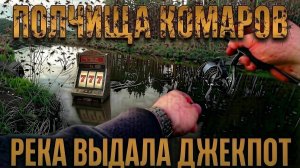 РЫБАЛКА НА РЕКЕ.  ТРОФЕЙ НА МИКРОДЖИГ. ОКУНЬ ДАЛ ЖАРУ  !!! ЛЕЩ НА КРУПНУЮ РЕЗИНУ. СПИННИГ.