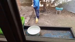 и мы и белки воскресным днём