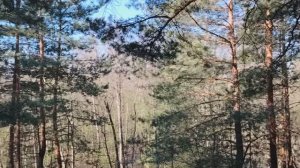 История о человеке-паразите, которому все равно на самого себя