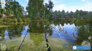 Russian Fishing 4   128 серия снова караси и окуни