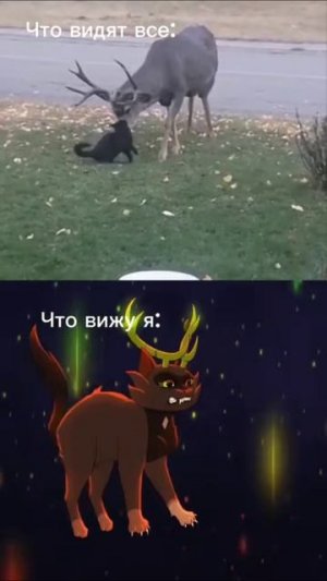 Не ну рил
