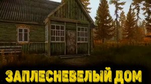 Escape from Tarkov Сюжет Часть 9 - Заплесневелый дом