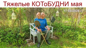 Кошку Лису потеряли.., весенние работы и прочие КОТоБУДНИ от 17.05.2026 г.