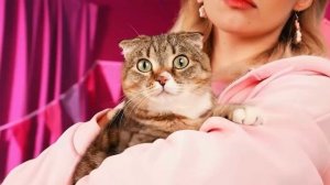 Мы Построили Маленький Домик для Животных ч. 2