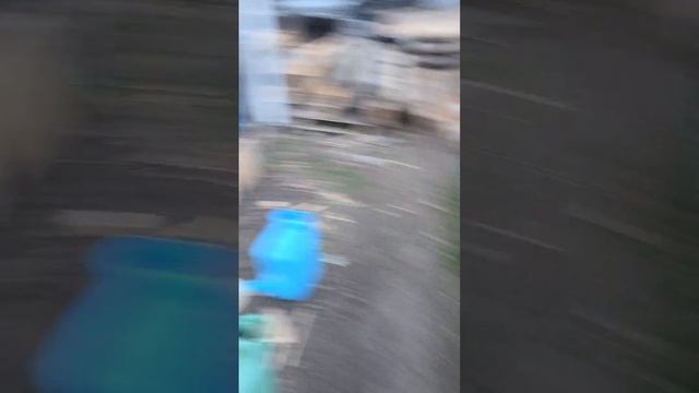 прямой эфир из вк видео от 16.05.26. смотреть онлайн