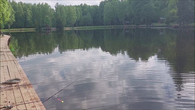 Утренний обзор с нижнего водоёма. Клёвое место, Лосиный остров.