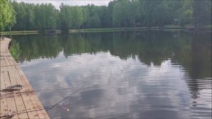 Утренний обзор с нижнего водоёма. Клёвое место, Лосиный остров.